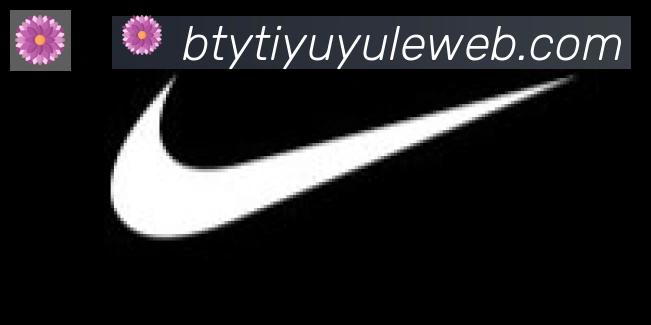 B体育官网合作伙伴